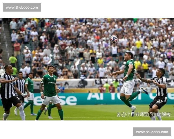 戈竞技对阵博塔弗戈巴甲焦点战前瞻胜负走向解析阵容状态与关键球员观察